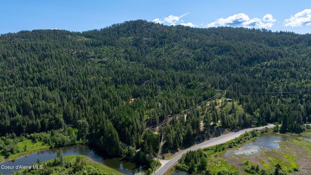 238 Black Sheep Rd, Hope, ID 83836