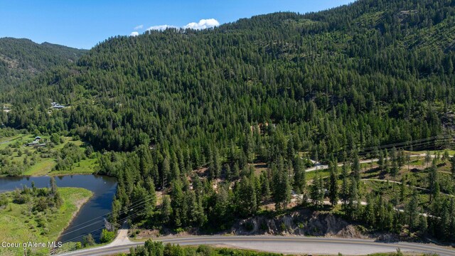 238 Black Sheep Rd, Hope, ID 83836