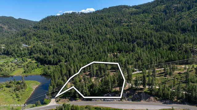 238 Black Sheep Rd, Hope, ID 83836