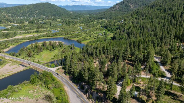 238 Black Sheep Rd, Hope, ID 83836