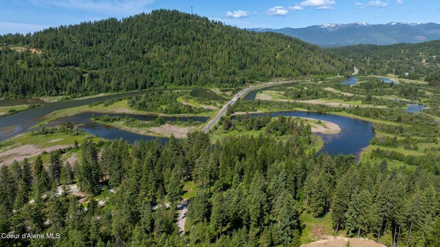 238 Black Sheep Rd, Hope, ID 83836