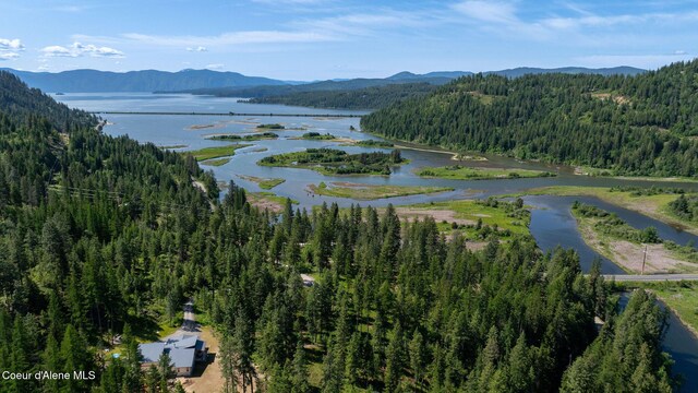 238 Black Sheep Rd, Hope, ID 83836