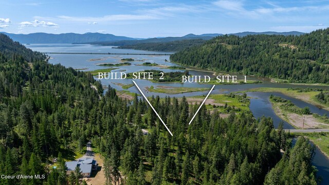 238 Black Sheep Rd, Hope, ID 83836