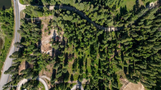 238 Black Sheep Rd, Hope, ID 83836