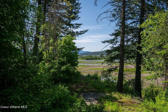 238 Black Sheep Rd, Hope, ID 83836
