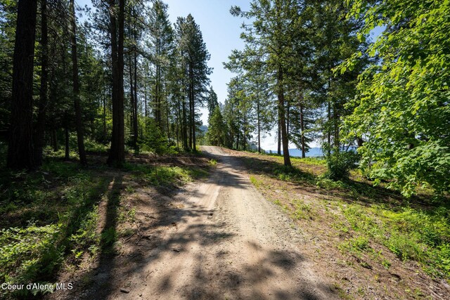 238 Black Sheep Rd, Hope, ID 83836
