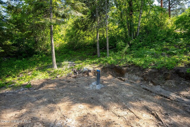 238 Black Sheep Rd, Hope, ID 83836