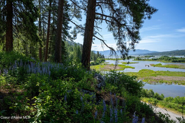 238 Black Sheep Rd, Hope, ID 83836