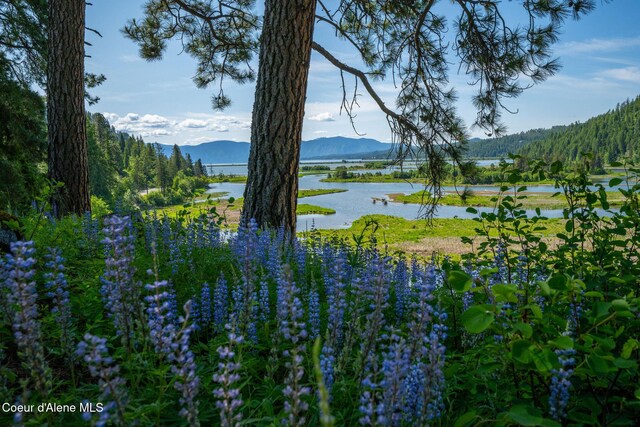238 Black Sheep Rd, Hope, ID 83836