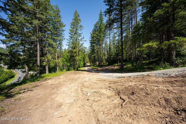 238 Black Sheep Rd, Hope, ID 83836