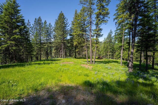 238 Black Sheep Rd, Hope, ID 83836