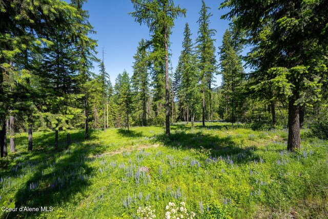 238 Black Sheep Rd, Hope, ID 83836