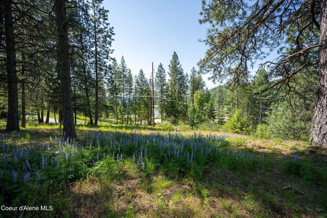238 Black Sheep Rd, Hope, ID 83836
