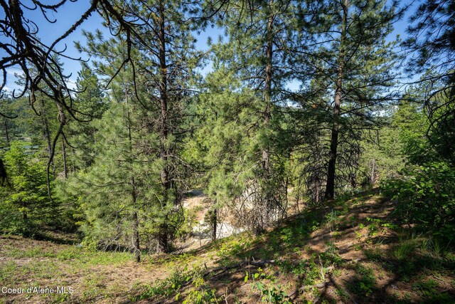 238 Black Sheep Rd, Hope, ID 83836