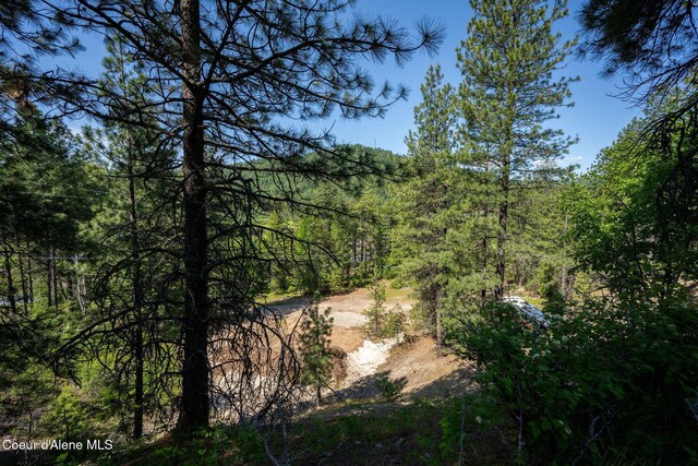 238 Black Sheep Rd, Hope, ID 83836