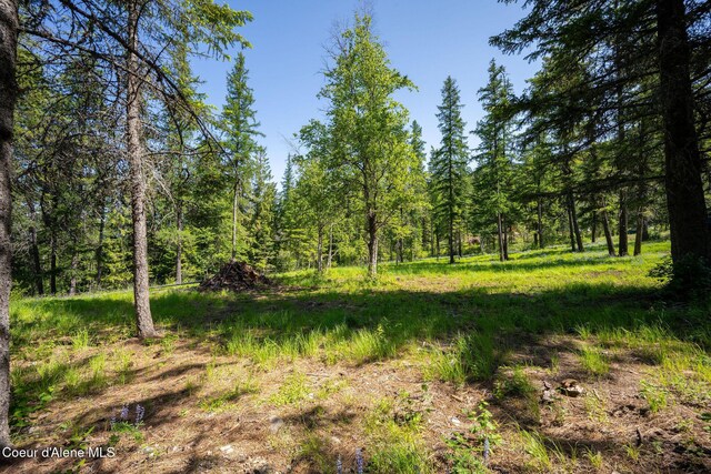 238 Black Sheep Rd, Hope, ID 83836