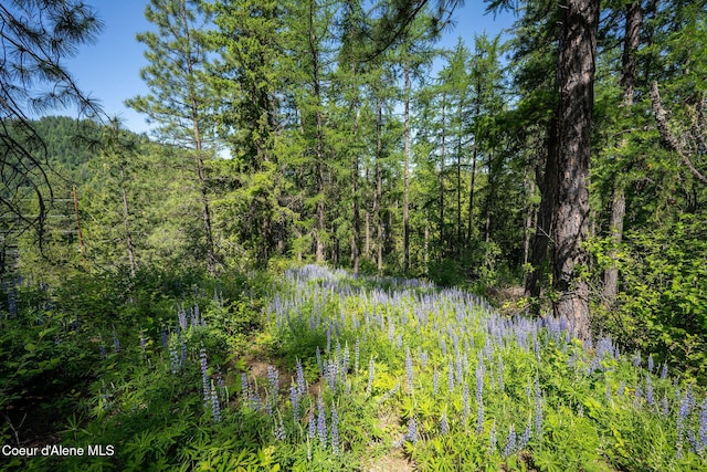 238 Black Sheep Rd, Hope, ID 83836