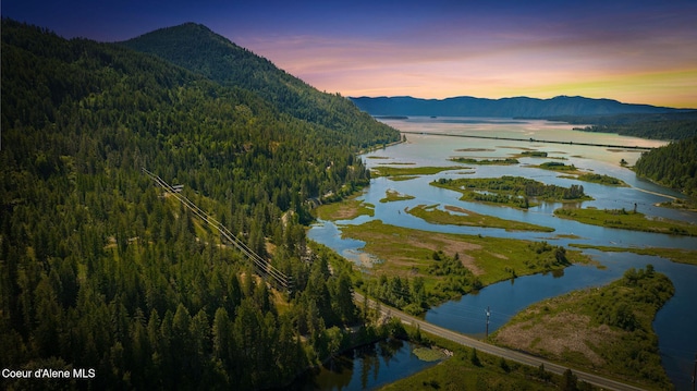 238 Black Sheep Rd, Hope, ID 83836