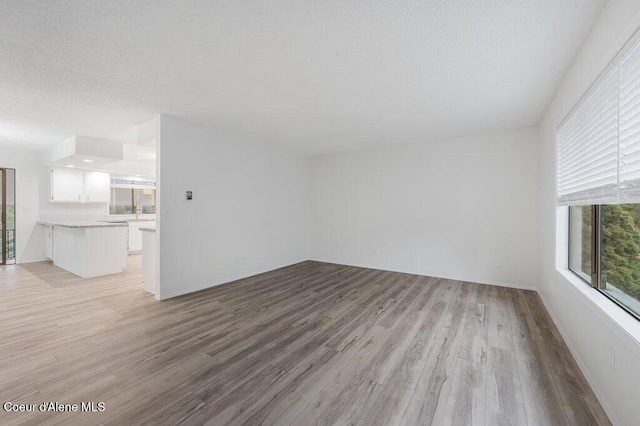 16 Beers Humbird Rd, Sagle, ID 83860 - unfurnished living room featuring light wood-style floors and a textured ceiling
