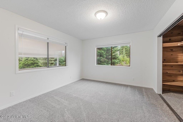 16 Beers Humbird Rd, Sagle, ID 83860 - carpeted empty room with healthy amount of natural light and a textured ceiling