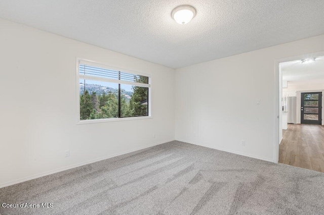 16 Beers Humbird Rd, Sagle, ID 83860 - carpeted empty room featuring plenty of natural light and a textured ceiling