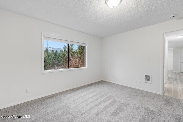 16 Beers Humbird Rd, Sagle, ID 83860 - carpeted empty room featuring a textured ceiling