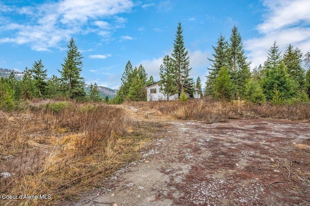 16 Beers Humbird Rd, Sagle, ID 83860 - view of road