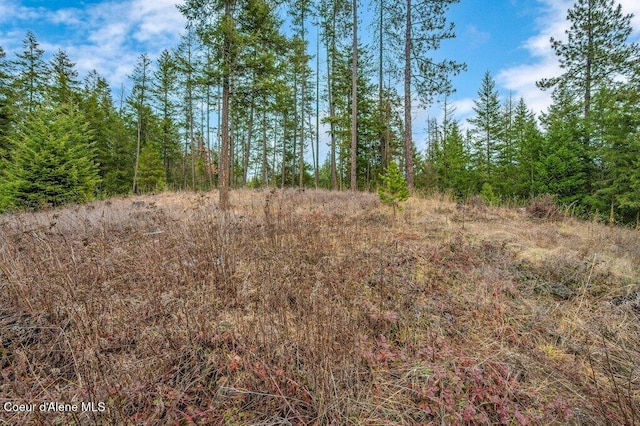 16 Beers Humbird Rd, Sagle, ID 83860 - view of woods