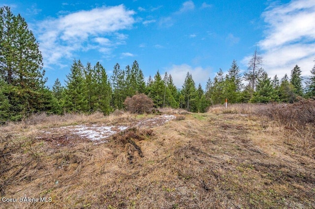 16 Beers Humbird Rd, Sagle, ID 83860 - view of undeveloped land
