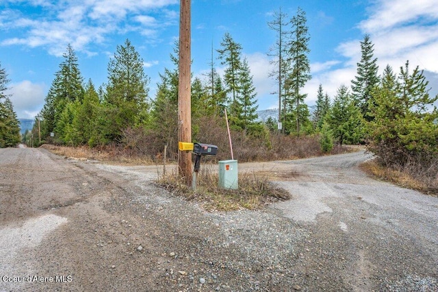 16 Beers Humbird Rd, Sagle, ID 83860 - view of road