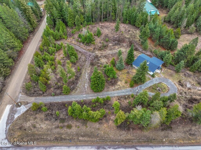 16 Beers Humbird Rd, Sagle, ID 83860 - aerial view of property's location
