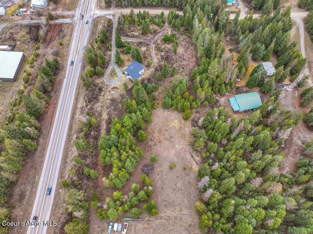 16 Beers Humbird Rd, Sagle, ID 83860 - aerial view of property's location