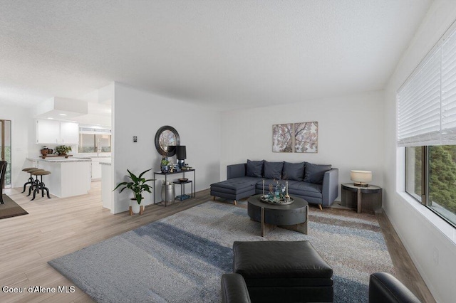 16 Beers Humbird Rd, Sagle, ID 83860 - living room with healthy amount of natural light, light wood finished floors, and a textured ceiling