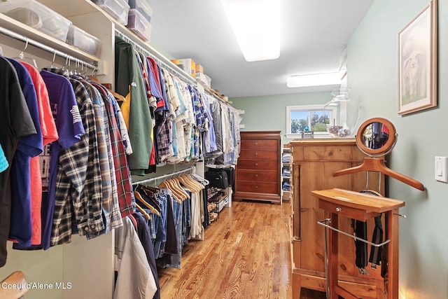 2177 E Totten Ln, Dalton Gardens, ID 83815 - walk in closet featuring light wood-style floors