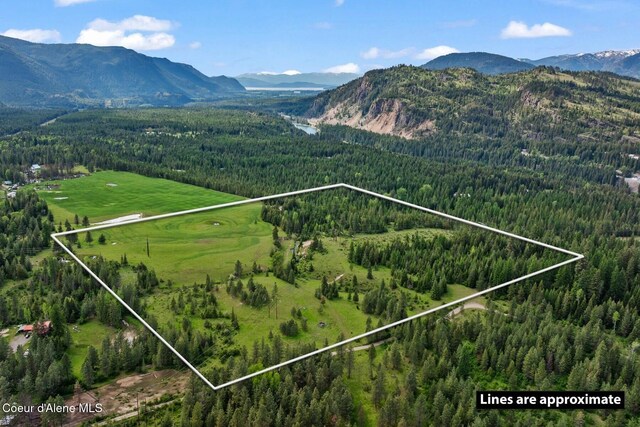 NNA Lone Cedar Ln, Clark Fork, ID 83811