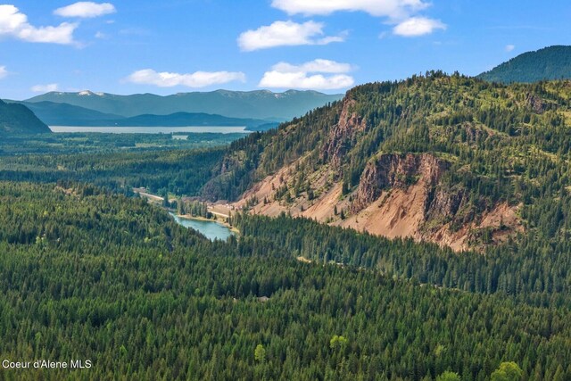 NNA Lone Cedar Ln, Clark Fork, ID 83811