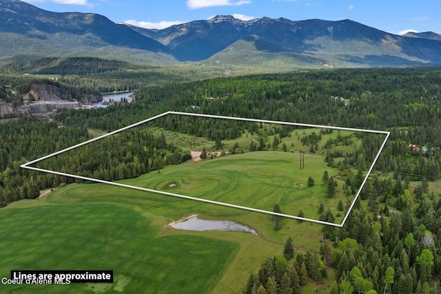 NNA Lone Cedar Ln, Clark Fork, ID 83811