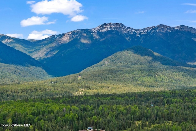 NNA Lone Cedar Ln, Clark Fork, ID 83811