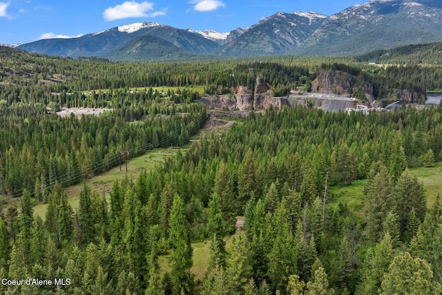 NNA Lone Cedar Ln, Clark Fork, ID 83811