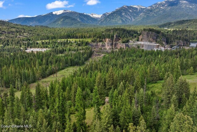NNA Lone Cedar Ln, Clark Fork, ID 83811