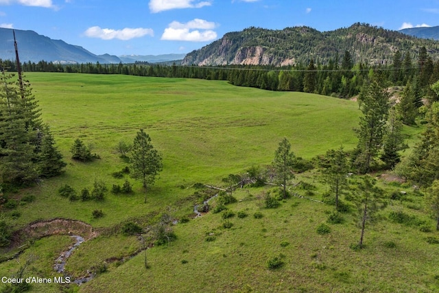 NNA Lone Cedar Ln, Clark Fork, ID 83811
