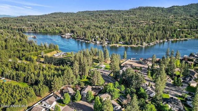 5735 E Steamboat Bnd, Post Falls, ID 83854 - aerial view of a forest and a large body of water