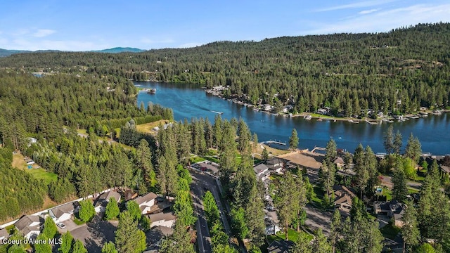 5735 E Steamboat Bnd, Post Falls, ID 83854 - bird's eye view of a forest and a water and mountain view