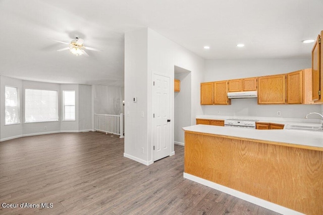 7349 W Crenshaw St, Rathdrum, ID 83858 - kitchen featuring under cabinet range hood, a sink, white range, vaulted ceiling, and light countertops