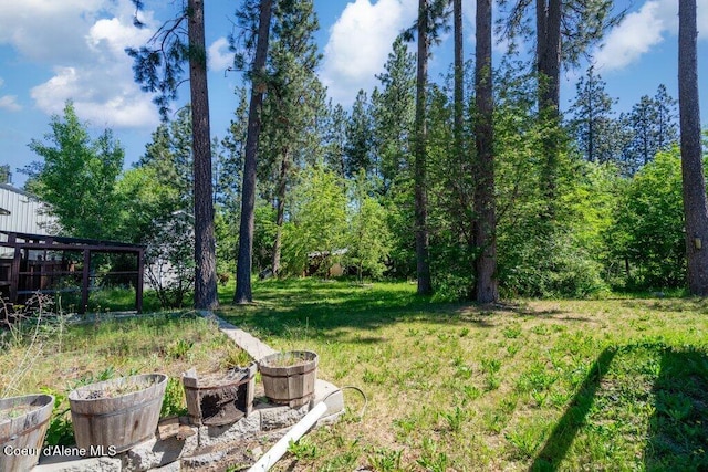 7349 W Crenshaw St, Rathdrum, ID 83858 - view of green lawn