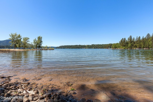 E Gem Shores Rd, Hayden Lake, ID 83835
