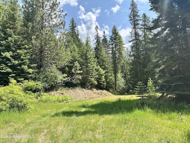 3232 Hells Gulch Rd, Saint Maries, ID 83861