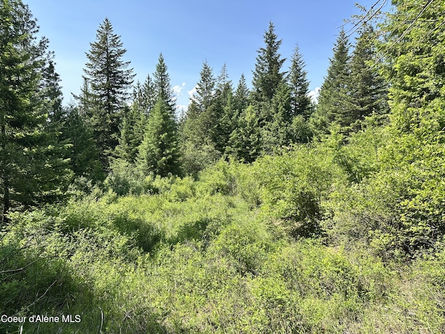 3232 Hells Gulch Rd, Saint Maries, ID 83861