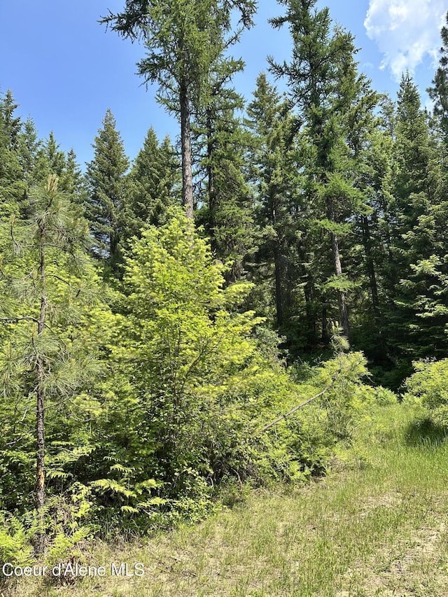 3232 Hells Gulch Rd, Saint Maries, ID 83861