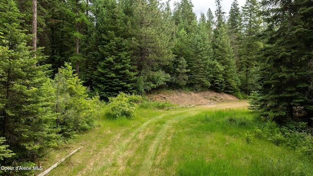 3232 Hells Gulch Rd, Saint Maries, ID 83861 - photo 7
